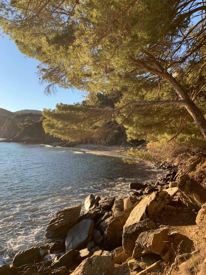 Villa Cavalaire Sur Mer מראה חיצוני תמונה